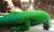 Фельзума мадагаскарская (с) WC  Phelsuma madagascariensis