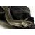 Сцинк мальгашский  Amphiglossus reticulatus