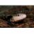 Сцинк синеязыкий гигантский  Tiliqua gigas