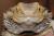 Агама бородатая colored  Pogona vitticeps colored