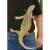Варан капский WC (с)  Varanus exanthematicus