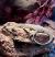 Варан розовогорлый (с)  Varanus jobiensis