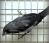 Амадина Японская  Lonchura striata var. Domestica