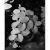 Сальвиния ушковидная MSalvinia auriculata | Цена: 30 | Нет в наличии