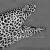 Гимноторакс леопардовый (Ячеистая мурена) MGymnothorax favagineus (G. permistus, G.pescadoris, G.tessellata) | Цена: 11900 | Нет в наличии