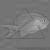 Антиас-толстолобик (серраноцирритус) MSerranocirrhitus latus | Цена: 1487 | Нет в наличии