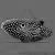 Каллоплезиопс-комета SCalloplesiops altivelis | Цена: 15390 | Нет в наличии