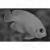 Центропиг золотой голубощекий XLCentropyge flavissima (C.flavissimus) | Цена: 2000 | Нет в наличии