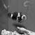 Клоун "Черный Фотон" MAmphiprion percula X Amphiprion ocellaris | Цена: 2950 | Нет в наличии