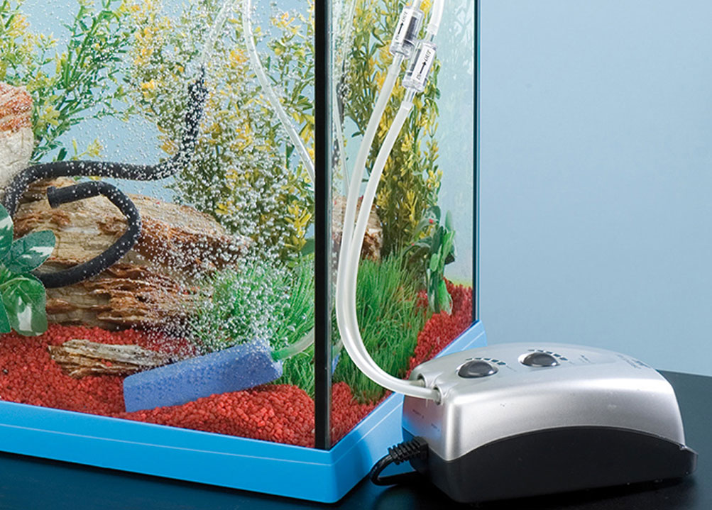 Как выбрать компрессор для аквариума?