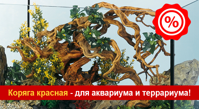Коряга красная для аквариума