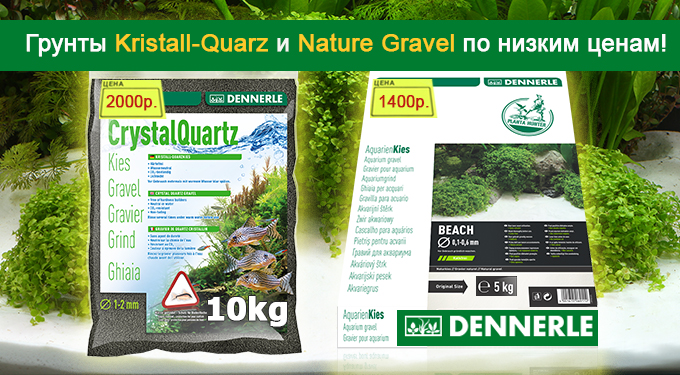 Специальные цены на грунты для аквариума Dennerle Kristall-Quarz и Nature Gravel!