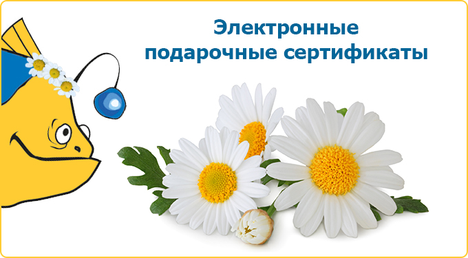 Электронные подарочные сертификаты интернет-магазина Аква-шоп